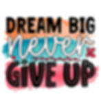 Inspirational design: DREAM BIG NEVER GIVE UP