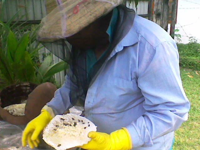During an operation