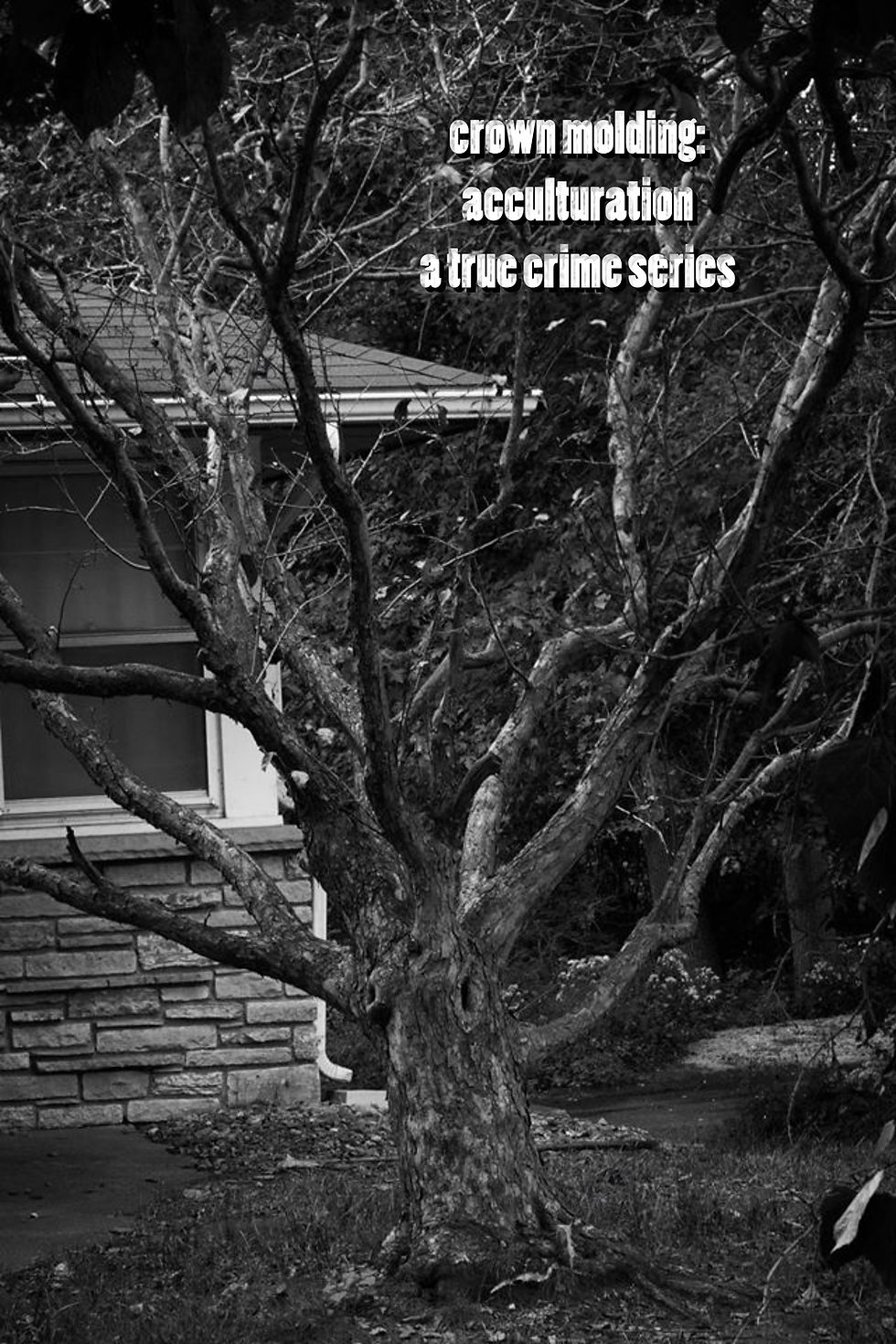 Haiga by Jerome Berglund
The black and white image is of a splayed limb tree in front of a one-story stone home.
The haiku reads:
crown molding:
acculturation
a true crime scene