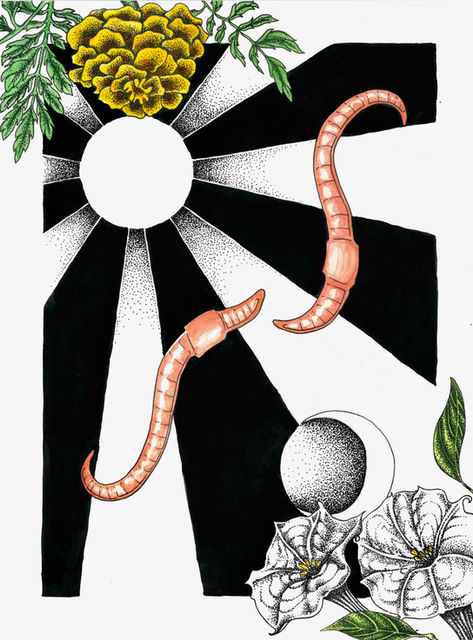 Two worm lovers. 