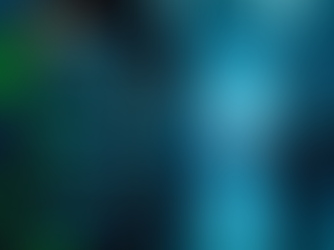 The Importance of External Network Security Assessments