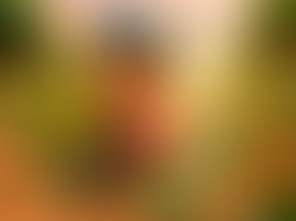 Хүүхэд.мн 209 "аяга кофе"-ны дэмжлэгтэй боллоо 