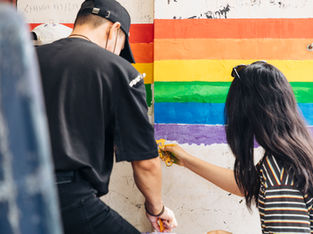 “Rainbow Public Visibility” төсөл үргэлжилж байна