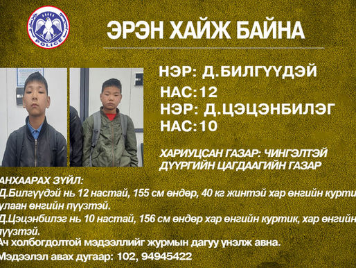 12 настай Д.Билгүүдэй, Д.Цэцэнбилэг нарыг эрэн хайж байна 
