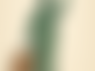 O Mito da Democracia Americana: Da Fundação à Era Trump