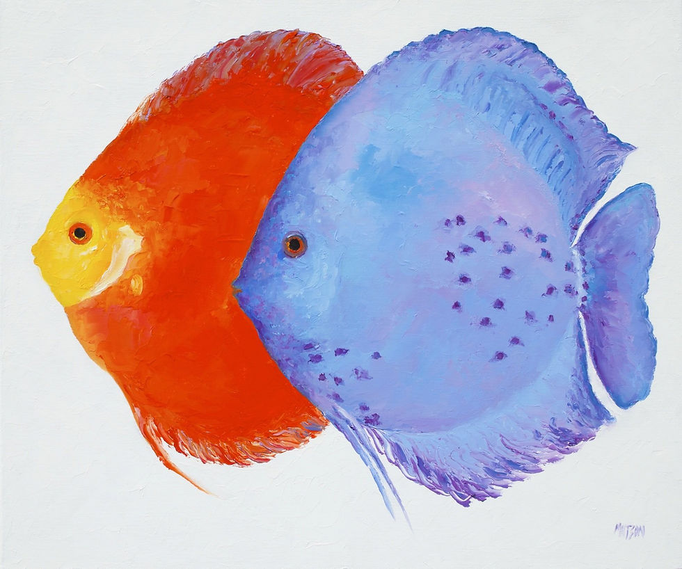 Orange and Blue Discus Fish by Jan Matson: an impasto oil painting of two round discus fish against a textured white ground — a bright orange fish with a yellow face overlapping a soft periwinkle-blue fish with purple fins and scattered dark spots; thick palette-knife strokes and the artist signature MATSON at lower right.