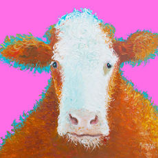 A brown and white Hereford cow painting on a bright pink background.