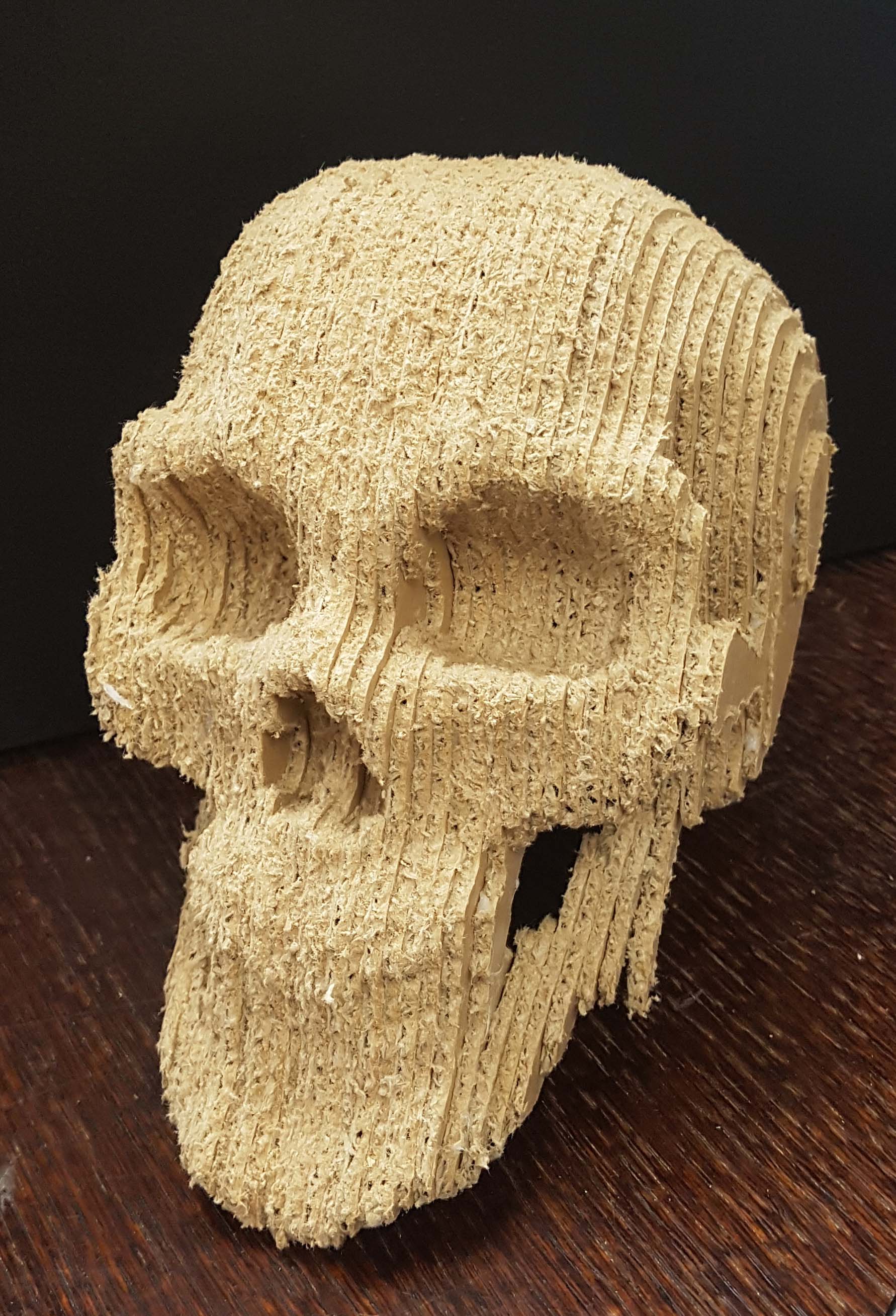Card board skull