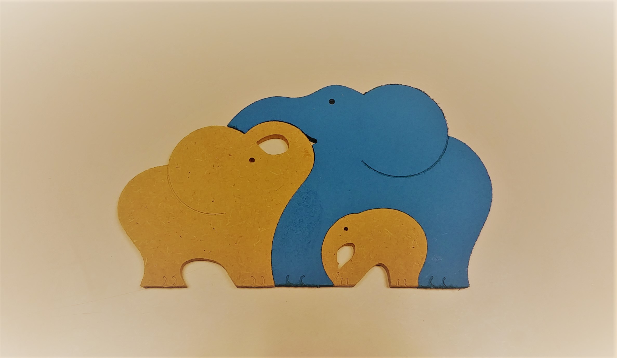 Elephant Family