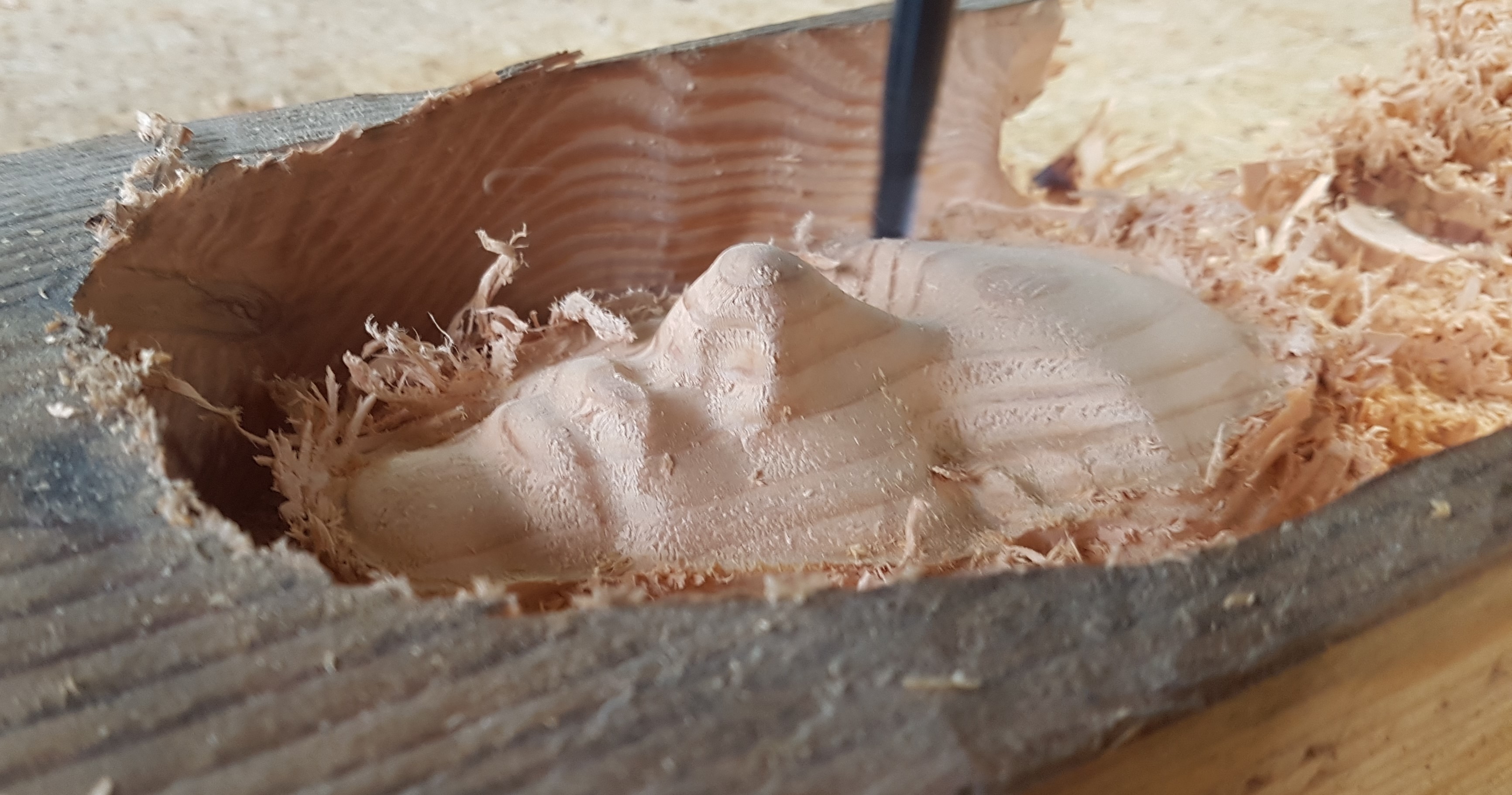 Wood face