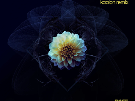 Electron-C - Maybe Someday (Kaalon VIP Remix)