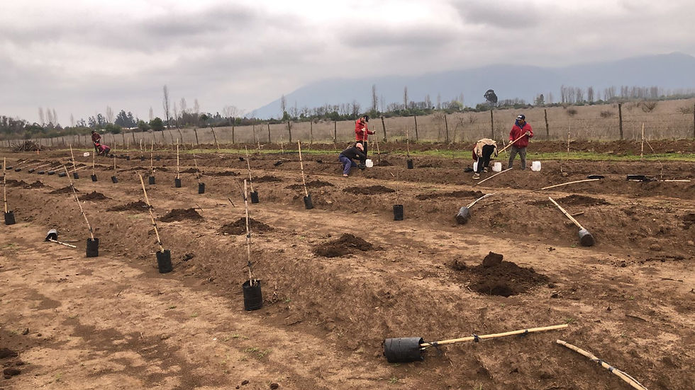 Inversión rentable agrícola, Crowdfunding: Capital en el campo: gestores agrícolas y modelos emergentes