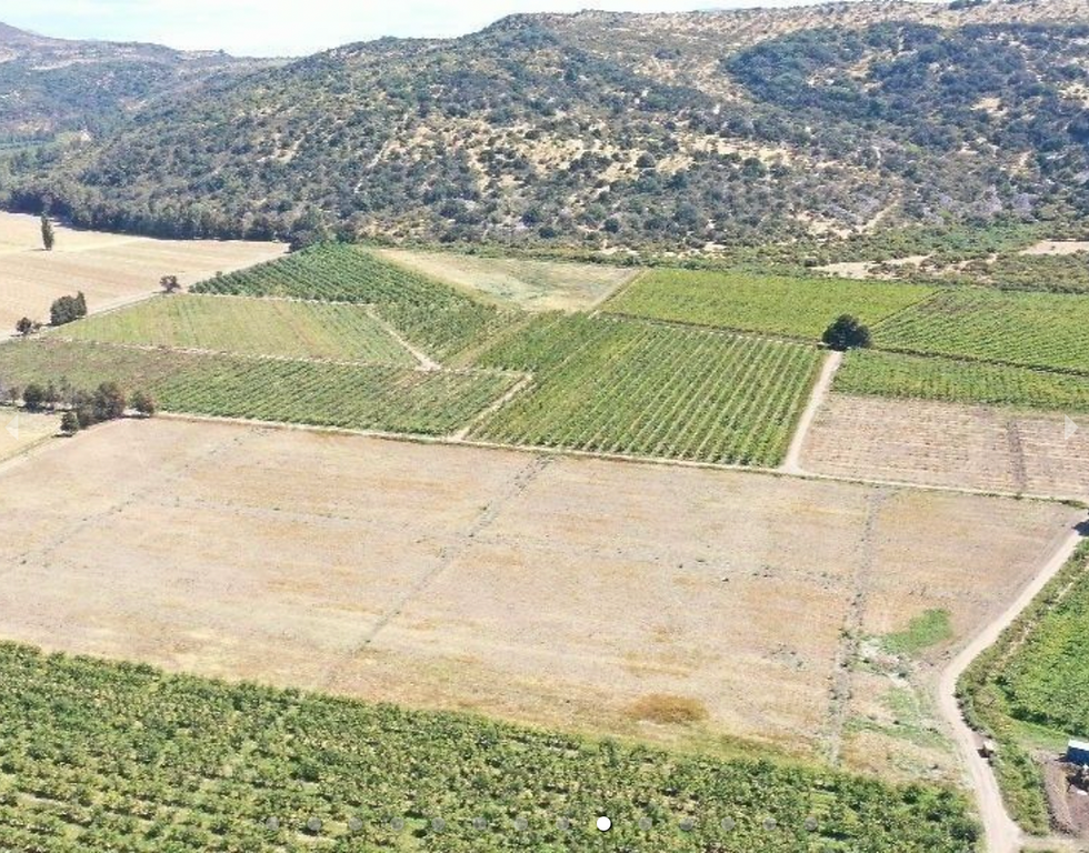 Captura de Pantalla 2024-02-01 a la(s) 23.05.42.png