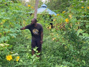 On the Meaning of Self-Sufficiency