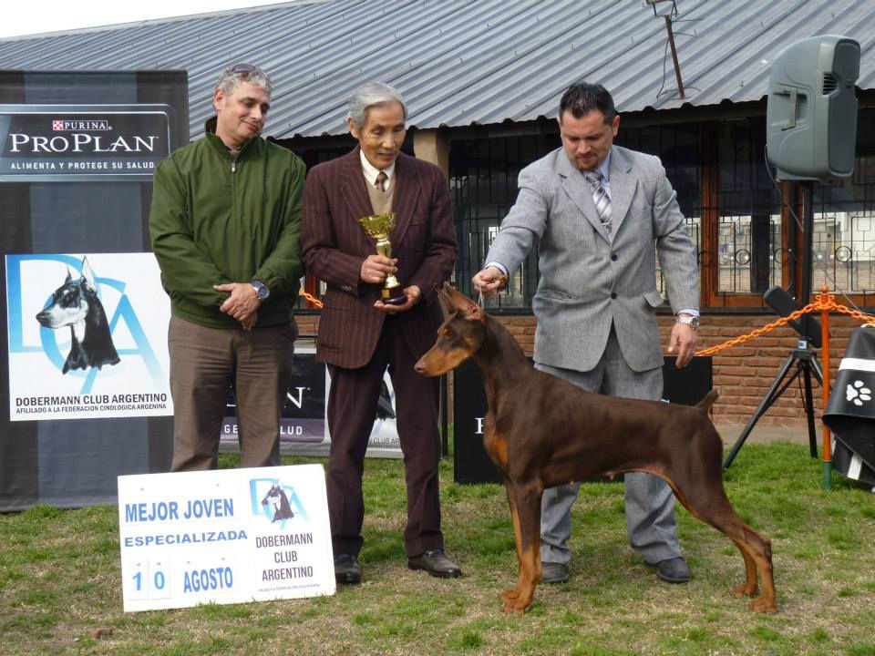 970708_557255574335557_498097335_n