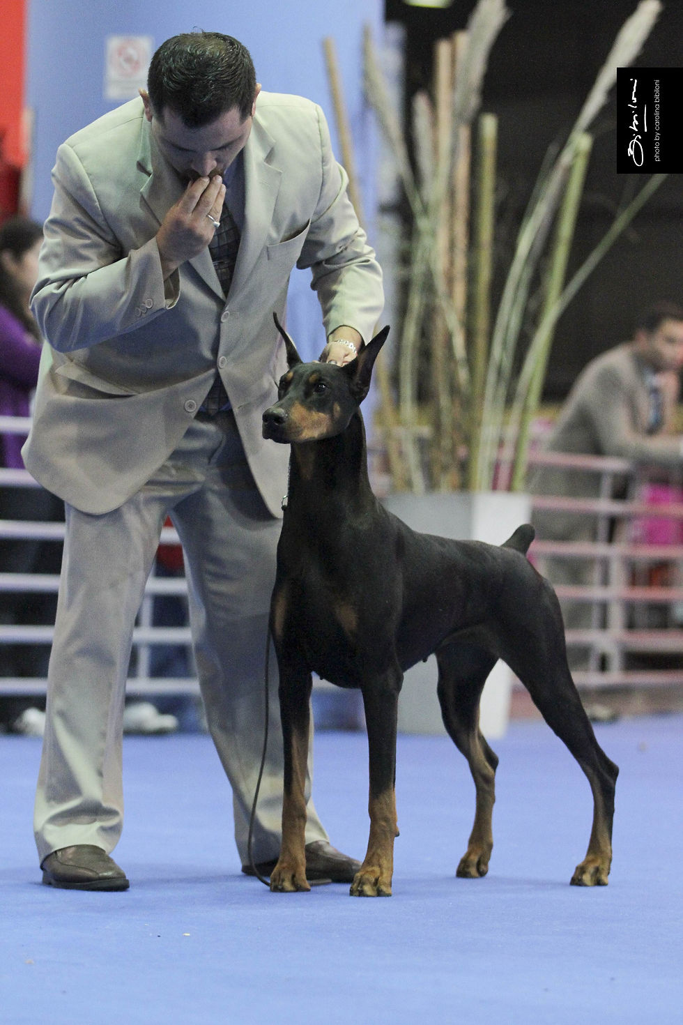 Baden Baden Indiana  4  8-4-11