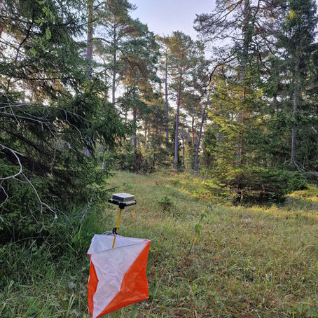 Stafetträning