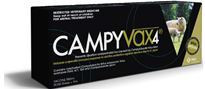 Campylobacter in Sheep