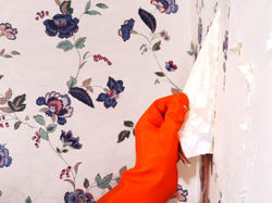 wallpapaer removal 2