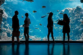 OCEANOPOLIS_1.jpeg