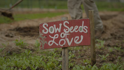 Seeds Of Love.jpg