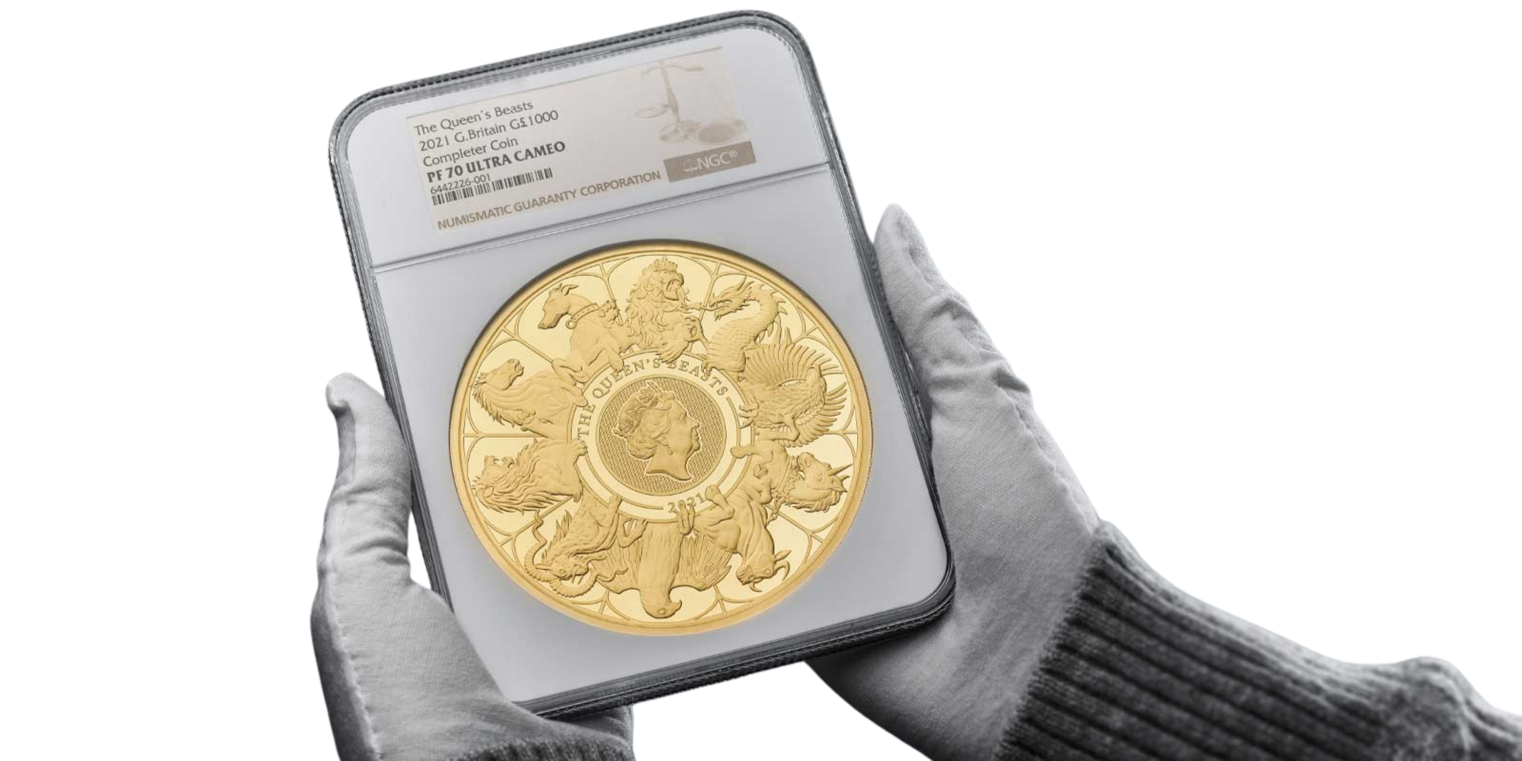 Untitled design (6).png