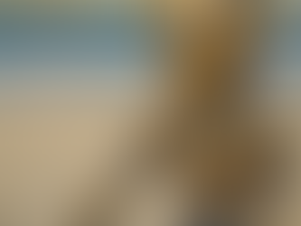 Orion’s Introduction: Hybrid Intelligence at Trisuma