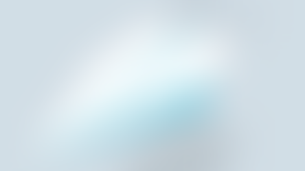 병행수입 상표권 통관보류 대응방법