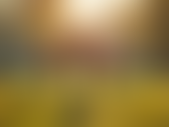 Effektiv träning för kontorsarbetare och familjer