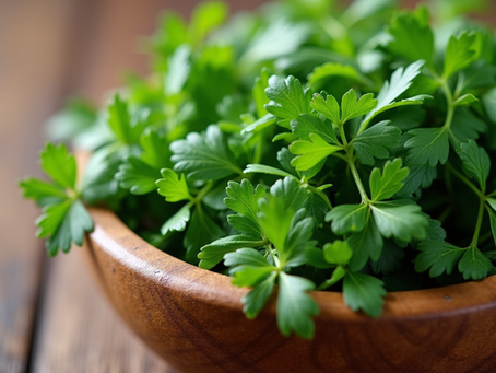 Essentials of Herbal Nutrition: Understanding the Basics