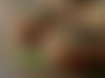 Herbal-Based Nutrition: An Overview