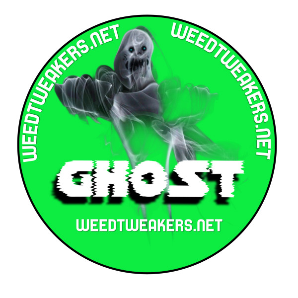 Ghost - Hybrid (Indica)