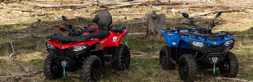 Mejoras en todos los ámbitos.png