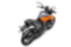 Miniatura: 250 Duke