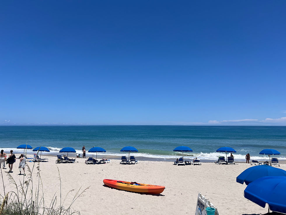 FASEB conference
