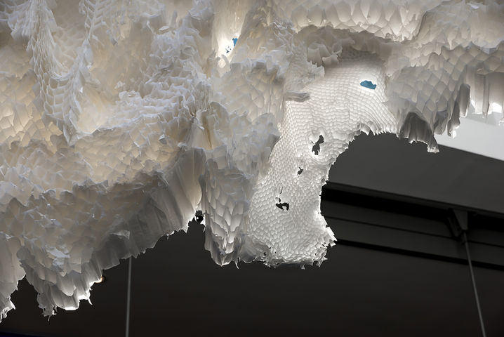 Exuvia (detalle), instalación, 2019.