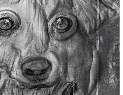 14. RITA LA PERRITA (detalle), serie Monumentales, 2020.