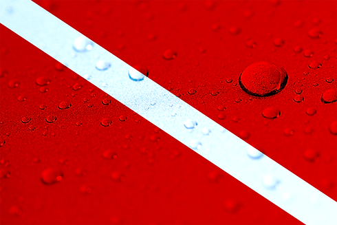 Diver Down.png