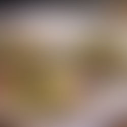 Scallops with Prosecco butter sauce