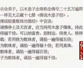 關於木患子唸珠