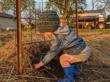 A Lesson in Big Plans: The 2021 Garden