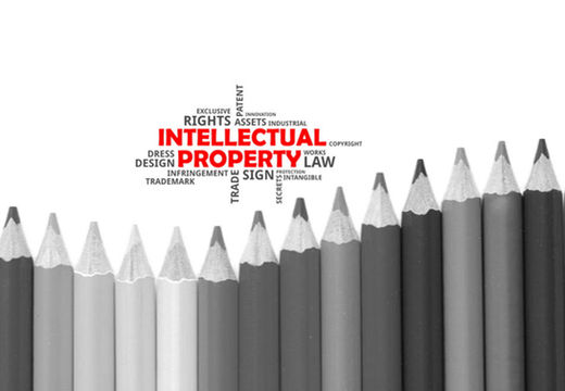 Trademark and IP investigation support