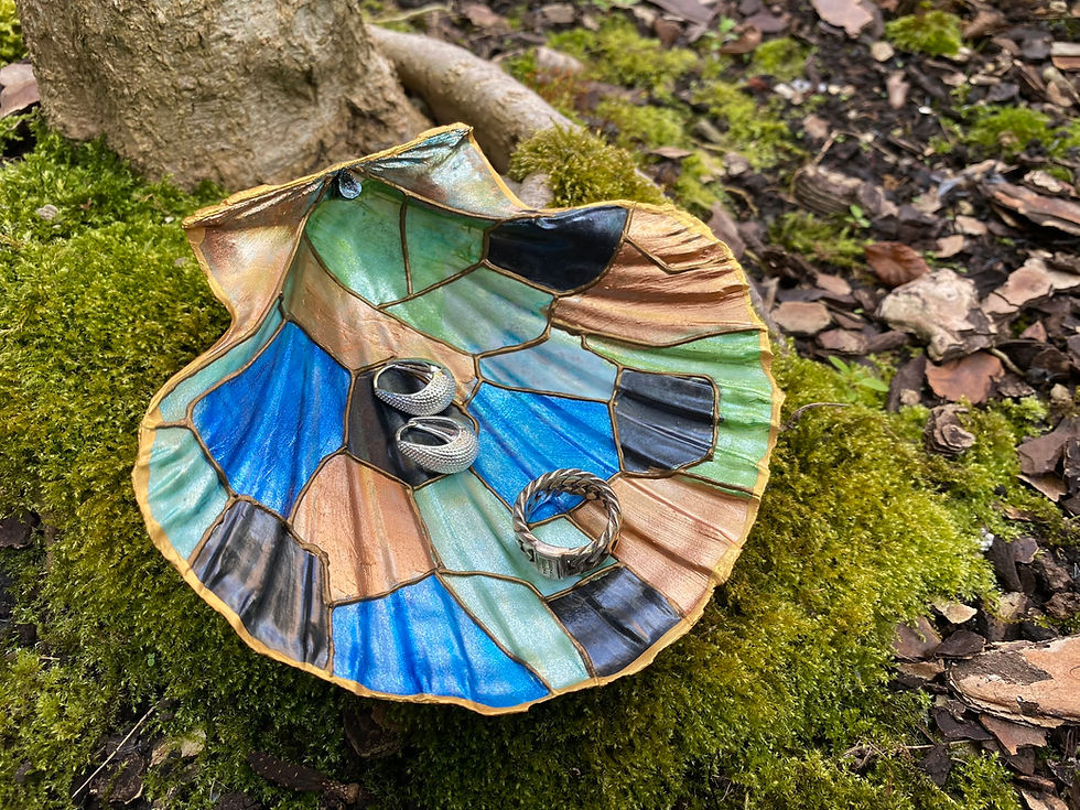 Thumbnail: Decoratieve en kleurrijke schelp