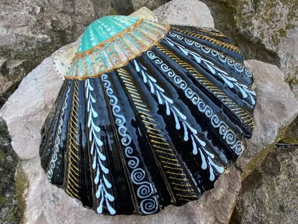 Boho Elegance schelp