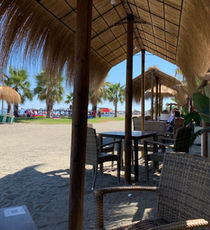 IMG_2153.jpeg