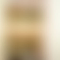 Pantry Organization in Sarasota: Virtual Photo Plans vs Traditional Services