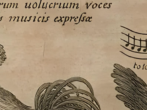 The Baroque Bulletin - April 2026