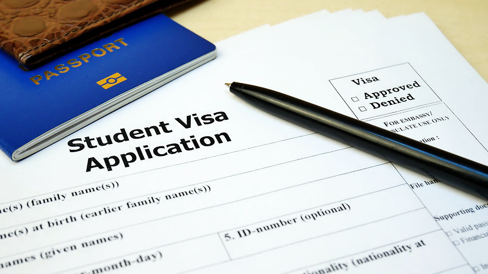 Students with Visa are not-eligible for federal student aid