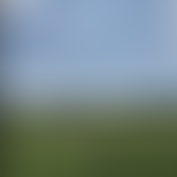 Grange abandonnée dans un champ