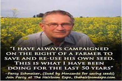 الفلاح شميزر